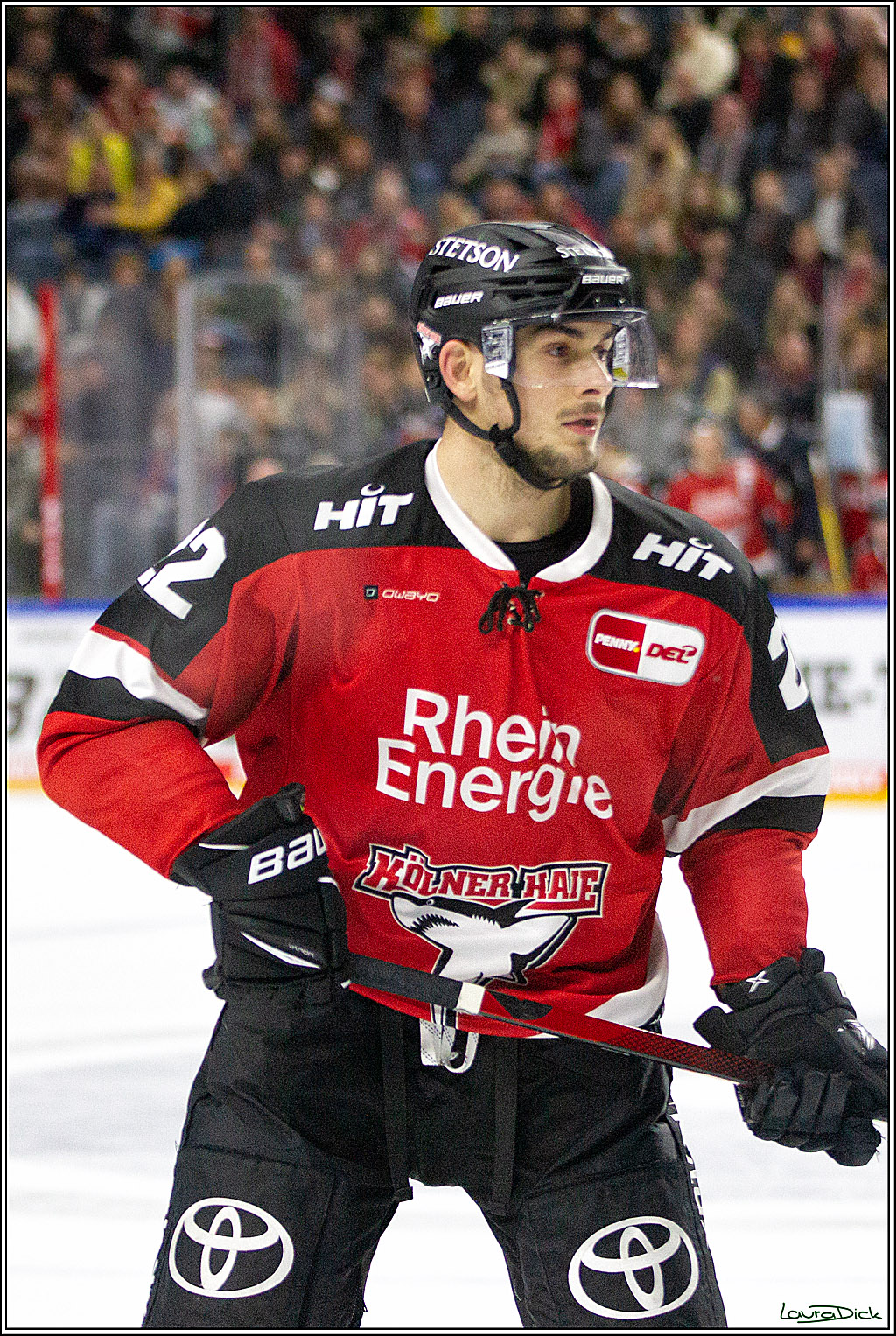 PENNY DEL;  Koelner Haie - Straubing Tigers; Koeln, 15.10.2021